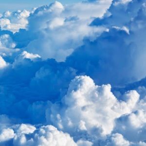 Meet your Posher, Sydney